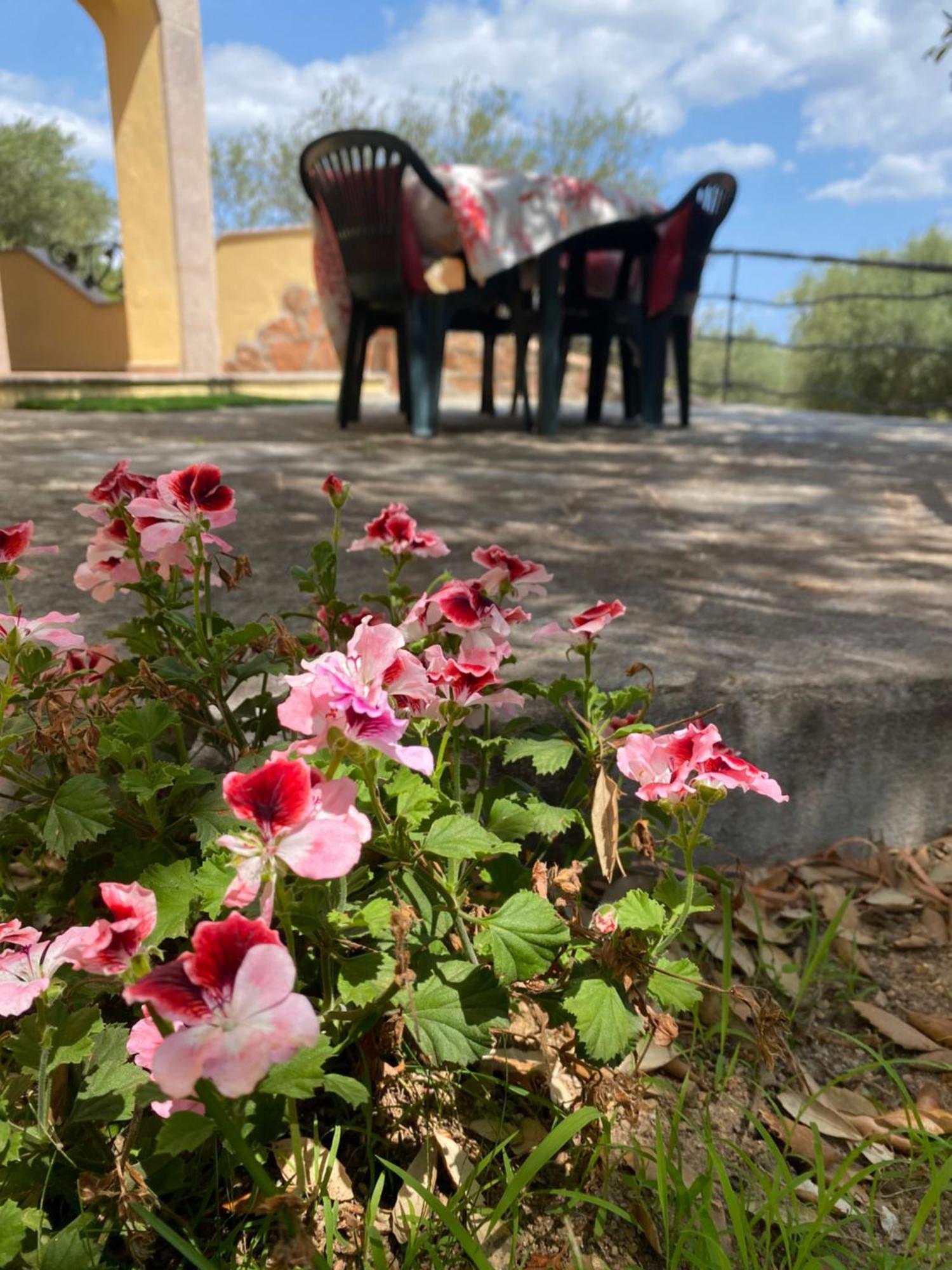 Case Vacanze Villa Rosita San Teodoro  Buitenkant foto